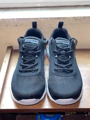 Sketchers Shoe