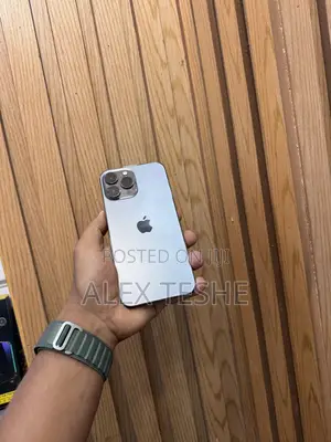 Apple iPhone 13 Pro Max 128 GB Gray