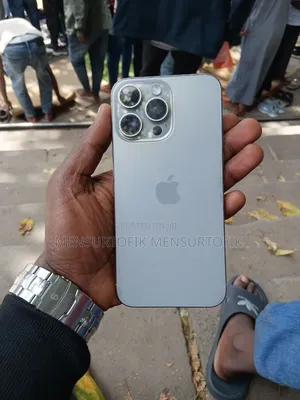 Apple iPhone 15 Pro Max 256 GB Gray