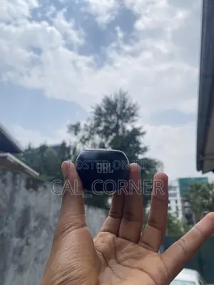 JBL Mini Speaker