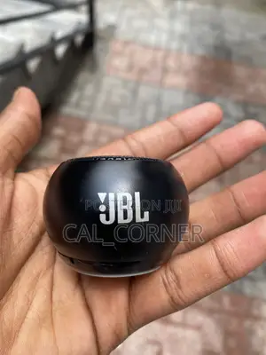JBL Mini Speaker