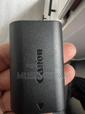 Canon RF 24-105 With Canon R
