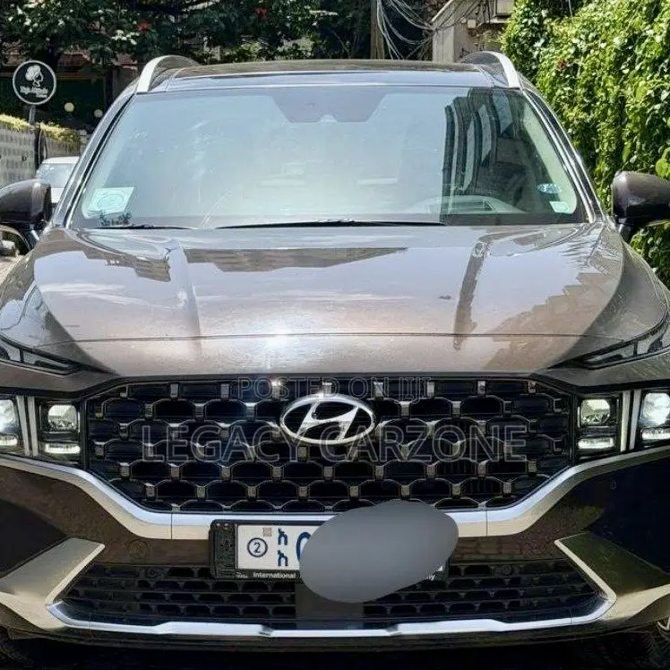 Hyundai Santa Fe 2023 Brown