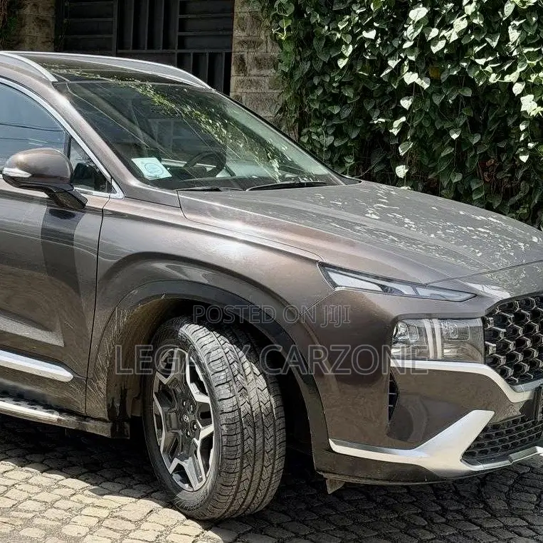 Hyundai Santa Fe 2023 Brown