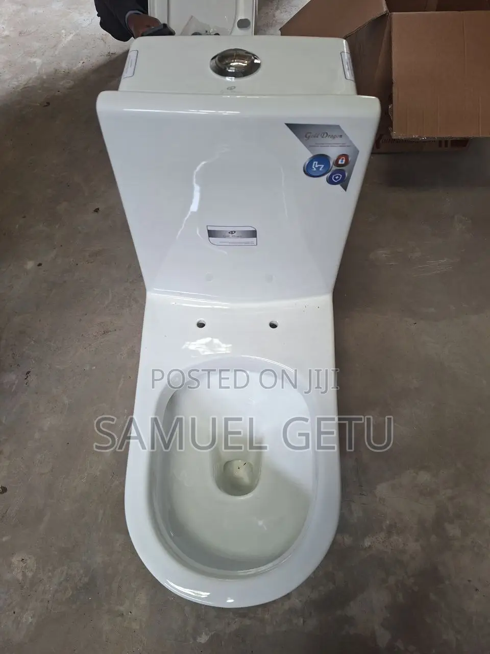 Golden Dragon Toilet
