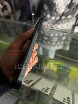 Apple iPhone 12 Pro Max 256 GB Blue