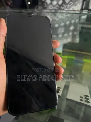 Apple iPhone 12 Pro Max 256 GB Blue