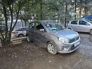 Suzuki Celerio 2021 Silver