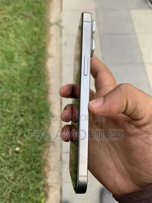 Apple iPhone 15 Pro Max 256 GB Silver