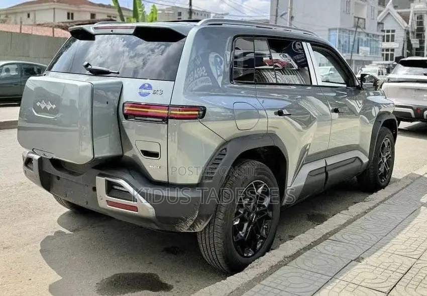 New BYD Leopard 3 2025 Gray