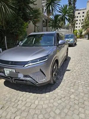 BYD Yuan Up 2025