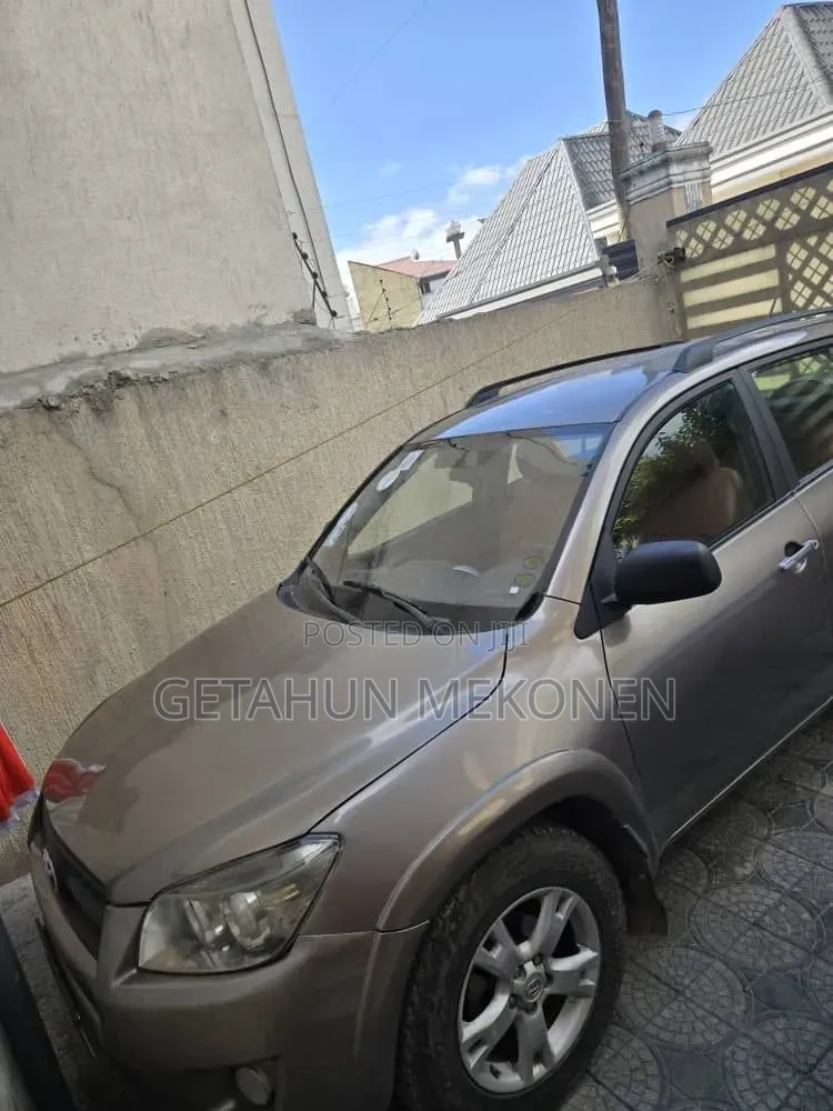 Toyota RAV4 2010 Gold