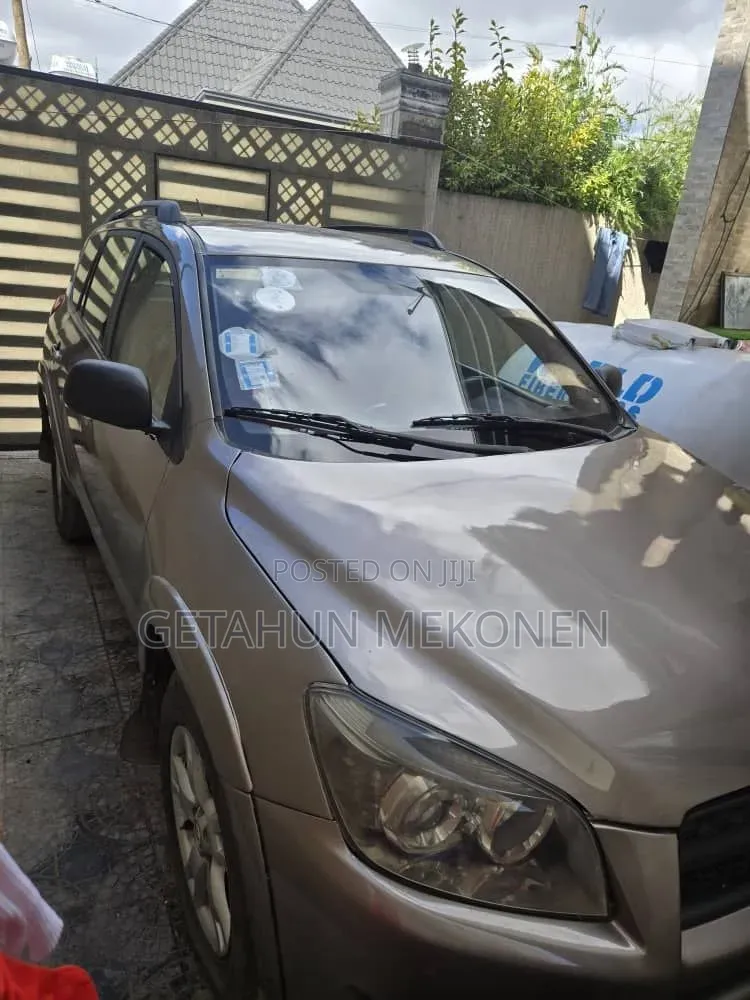 Toyota RAV4 2010 Gold