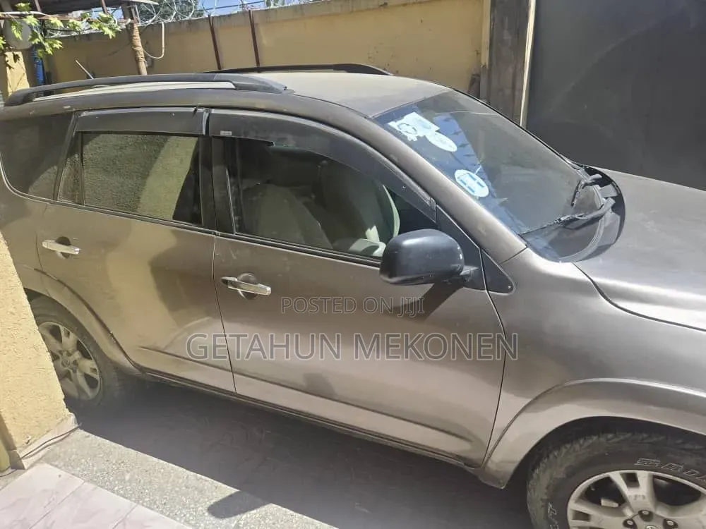 Toyota RAV4 2010 Gold