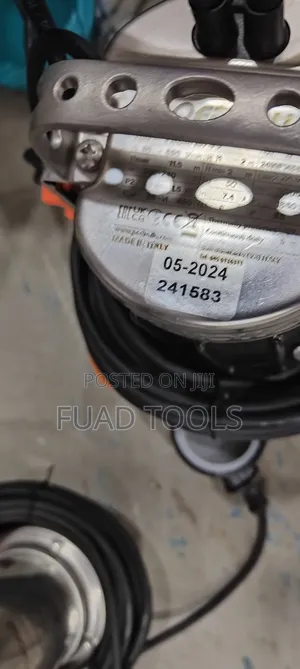 Pedrollo Water Pump