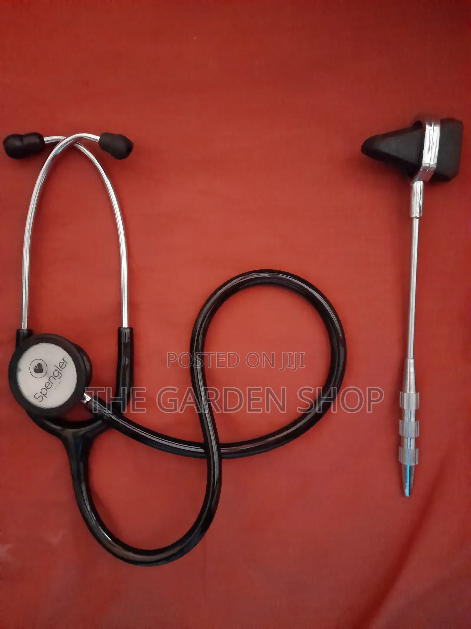 Stethoscope and Hammer