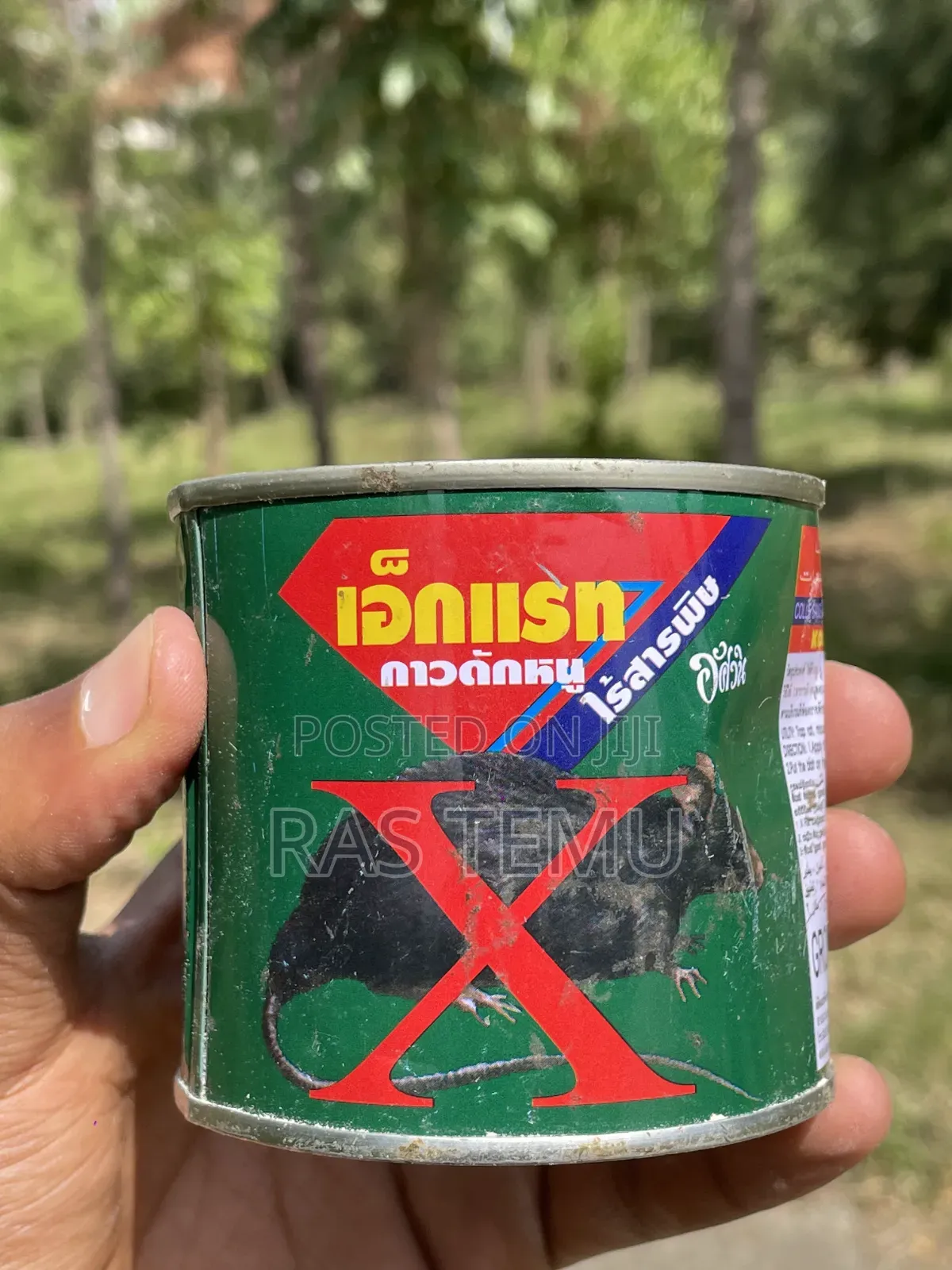 የአይጥ ማጣበቂያ/ማጥፊያ(x Rat Glue)