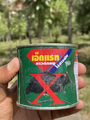 የአይጥ ማጣበቂያ/ማጥፊያ(x Rat Glue)