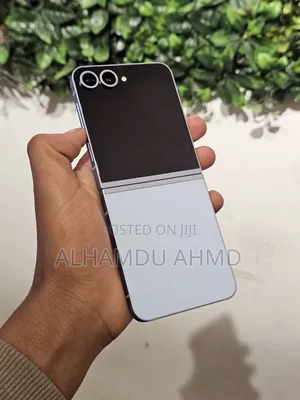 Samsung Galaxy Z Flip6 256 GB