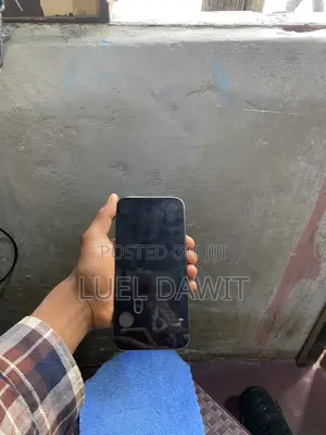 Apple iPhone 13 Pro Max 256 GB Black