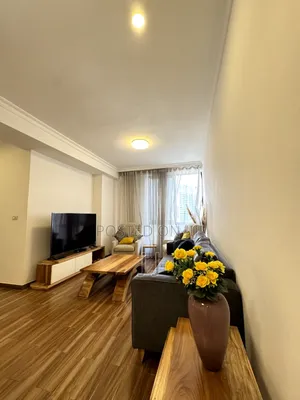Furnished 2bdrm Apartment in Bole for rent