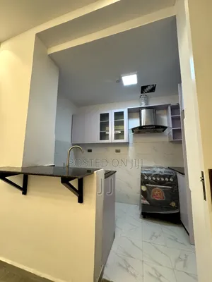 Furnished 1bdrm Apartment in Bole for rent