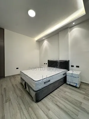 Furnished 1bdrm Apartment in Bole for rent