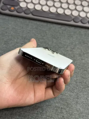 Apple iPhone 13 Pro 1 TB White