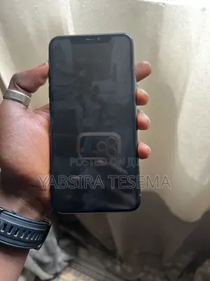 Apple iPhone 11 Pro Max 256 GB Gray