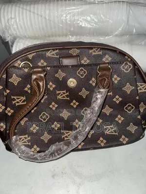 LV Bag for Girls