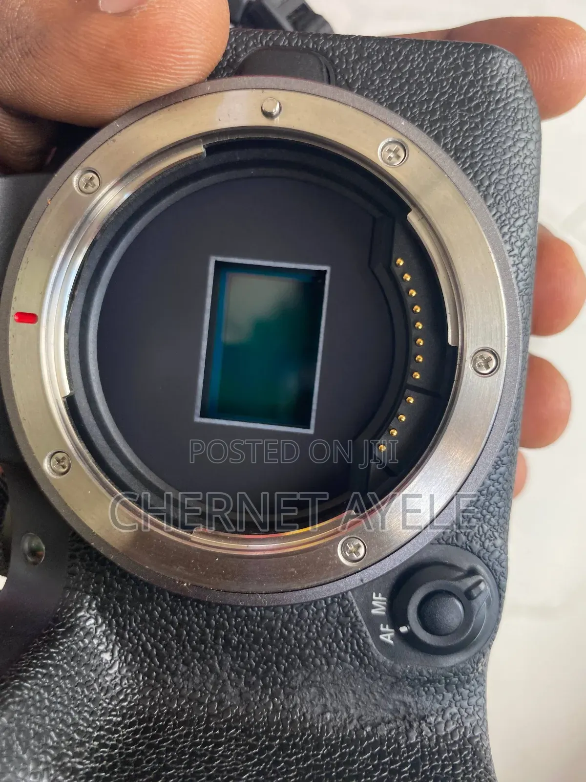 Used Like New Canon R10