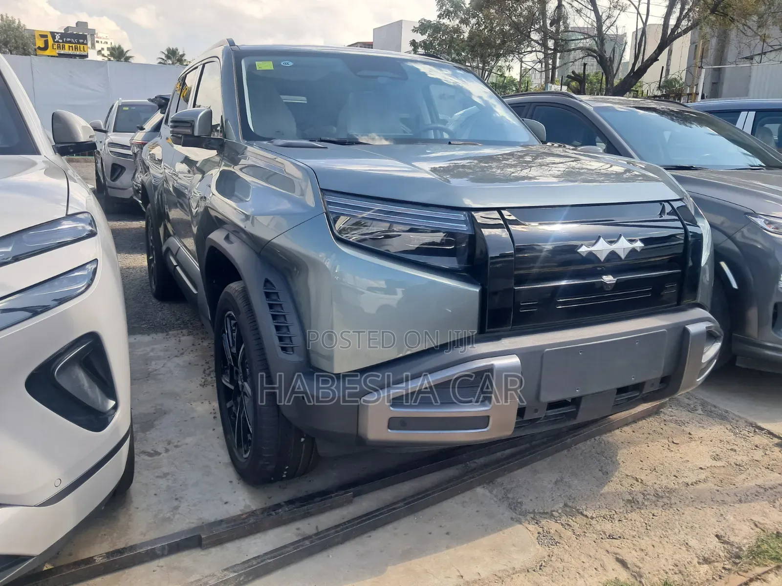 New BYD Leopard 3 2025