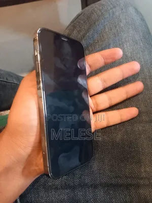 Apple iPhone 12 Pro Max 256 GB Silver