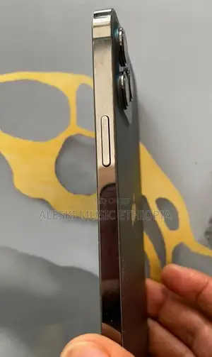 Apple iPhone 12 Pro Max 256 GB Gray
