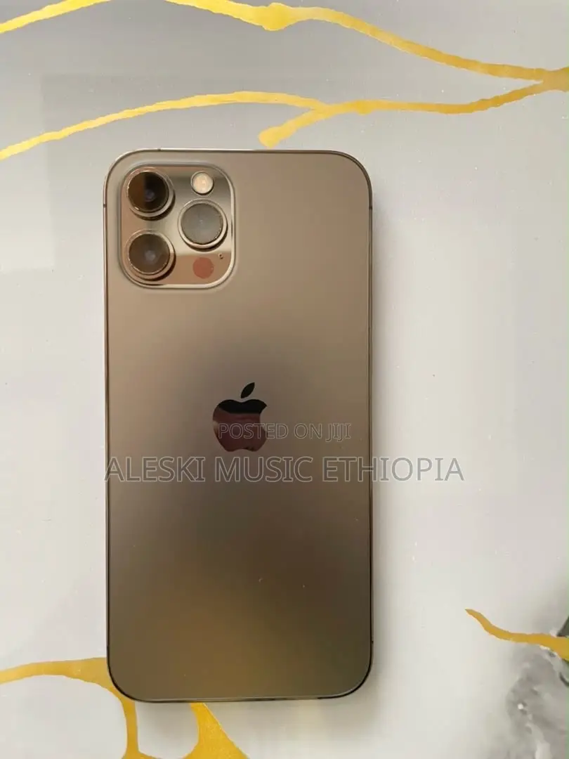 Apple iPhone 12 Pro Max 256 GB Gray