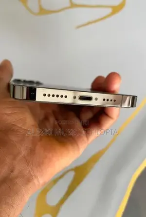 Apple iPhone 12 Pro Max 256 GB Gray