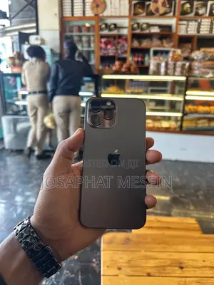 Apple iPhone 13 Pro Max 256 GB Gray