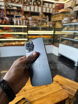 Apple iPhone 13 Pro Max 256 GB Gray