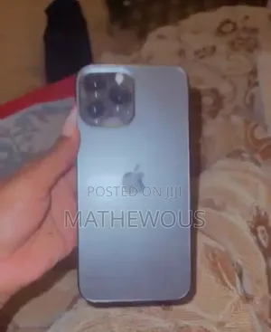 Apple iPhone 13 Pro Max 128 GB Gray