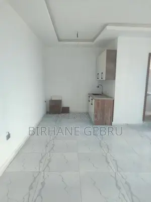 1bdrm Apartment in Luxury Studio, Bole for rent