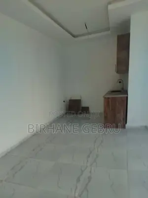 1bdrm Apartment in Luxury Studio, Bole for rent