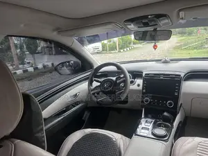 Hyundai Tucson Limited 2021 Gray