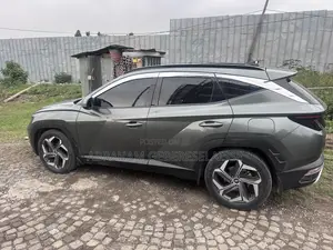 Hyundai Tucson Limited 2021 Gray