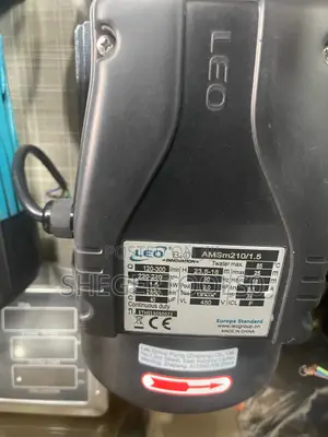 Leo Stainless Steel Pump