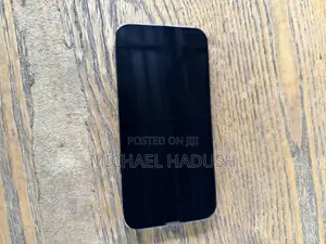 Apple iPhone 13 Pro Max 256 GB Gray