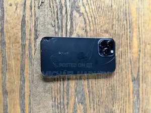 Apple iPhone 13 Pro Max 256 GB Gray