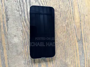 Apple iPhone 13 Pro Max 256 GB Gray