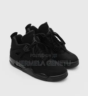 Air Jordan 4 Shoes