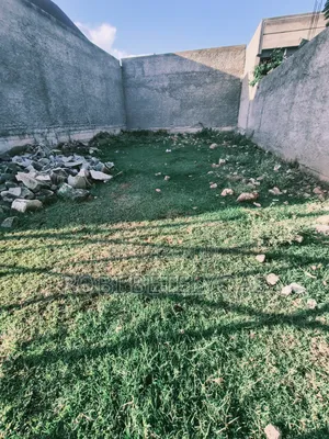 Land and Plot