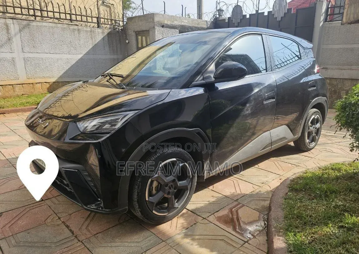BYD Seagull 2024 Black